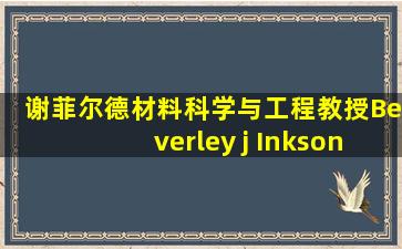 谢菲尔德材料科学与工程教授Beverley j Inkson